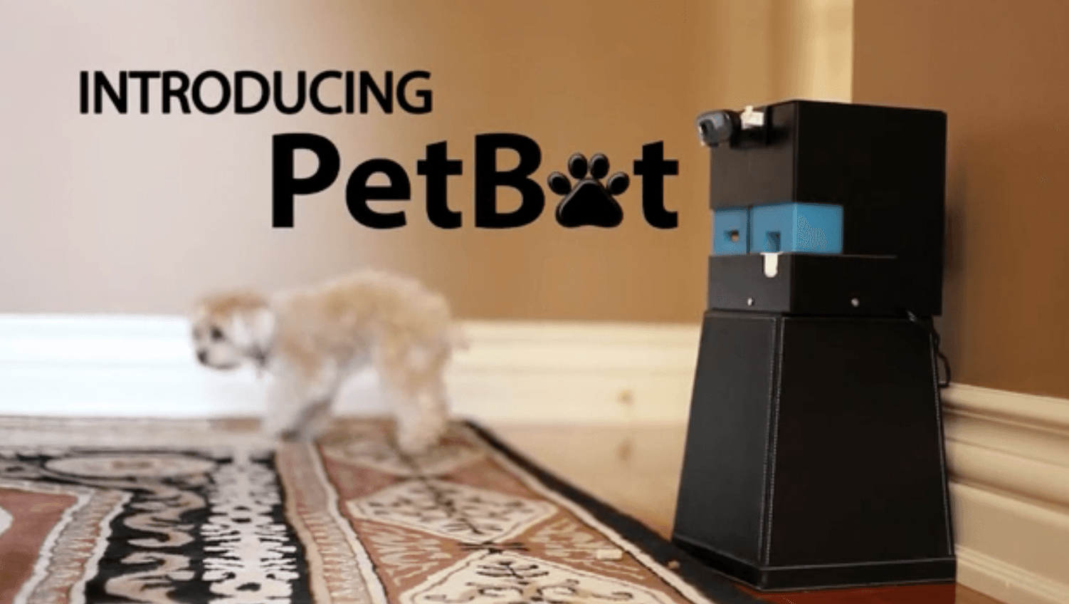 This robot lets your pets send you selfies