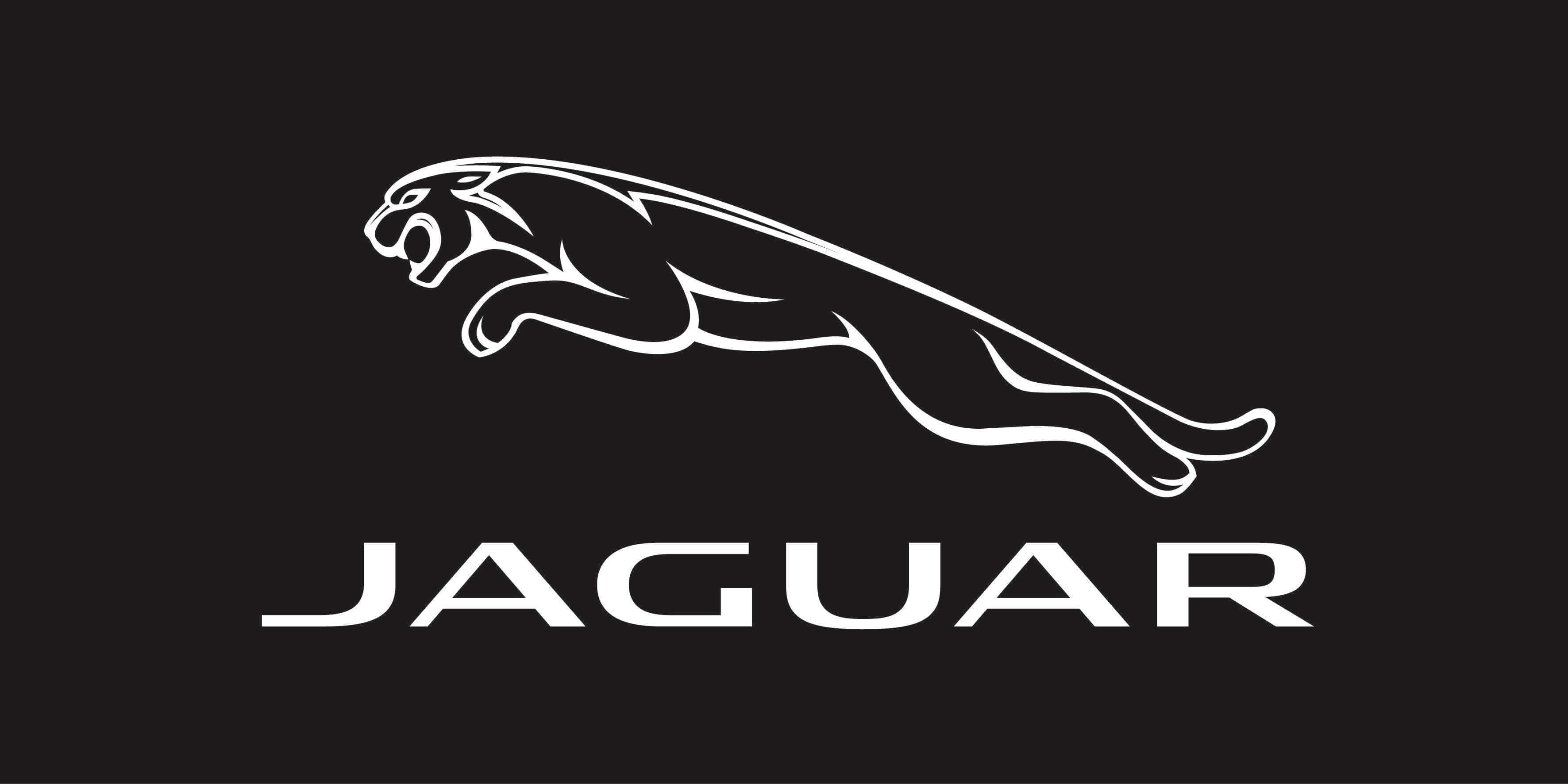 Jaguar, NTT team up with tech group on remote access software