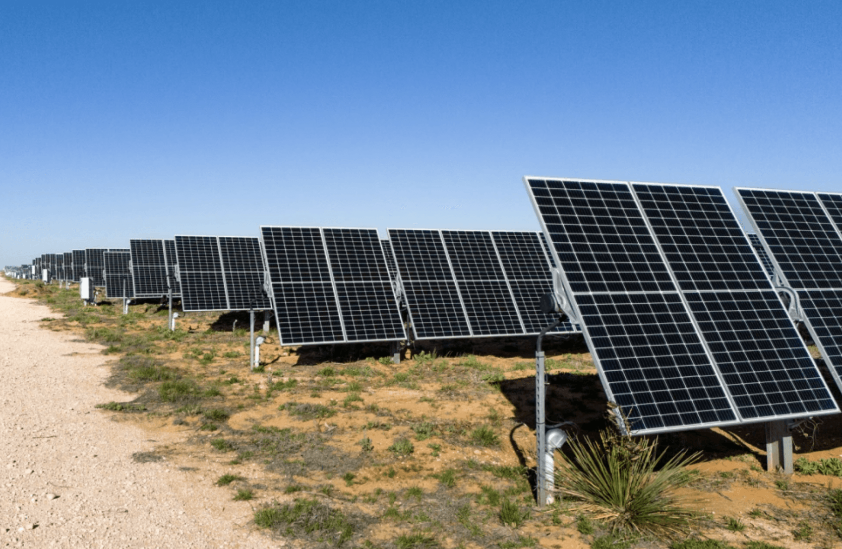These little robots are changing the way solar farms are built, saving time and money