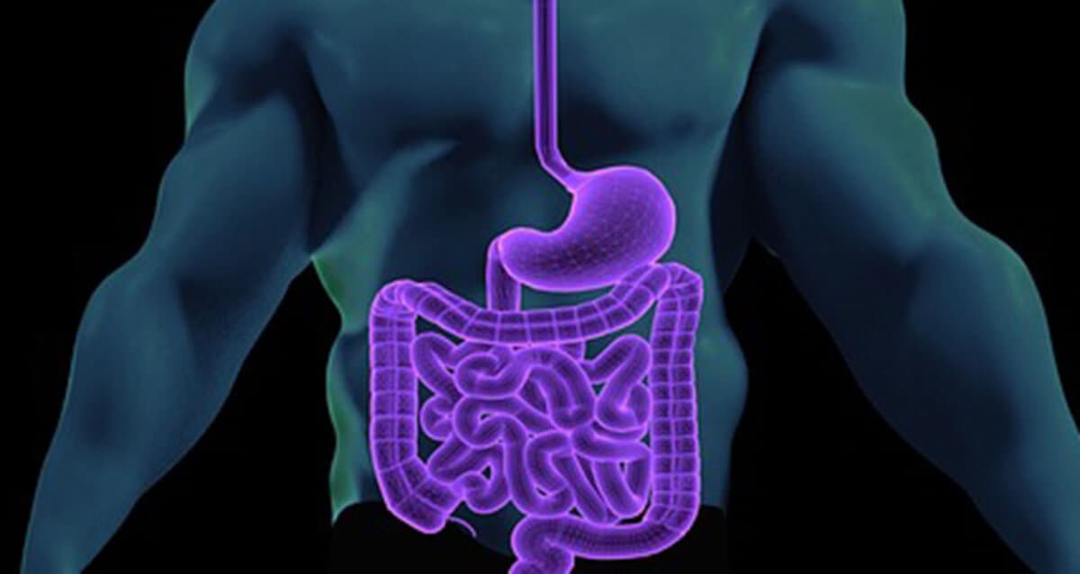 AI Medical Service raises $42.9 million to detect cancerous lesions from endoscope footage