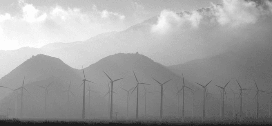 Stellar Joins Forces With IBM to Bring Carbon Credits to the Blockchain