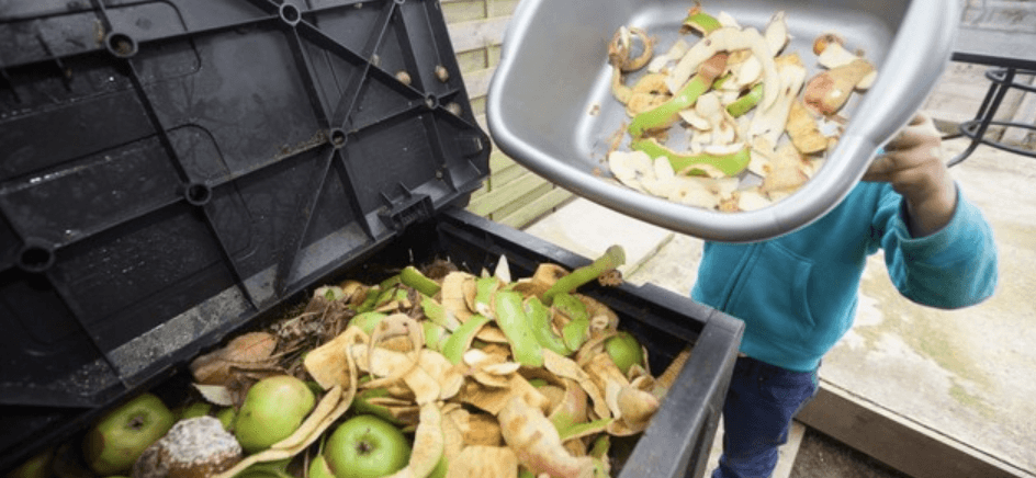This Is How To Use Your Food Scraps To Make Energy