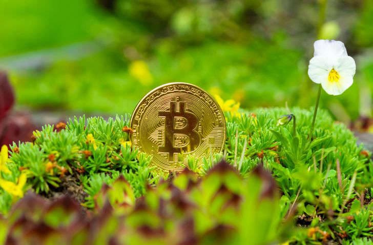 Guide to eco-friendly cryptocurrencies