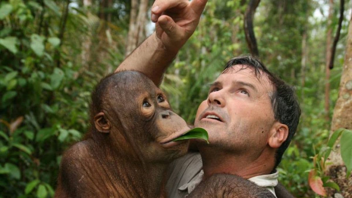 Todd Lemons, Chairman, Tying ourselves to trees won’t solve climate change