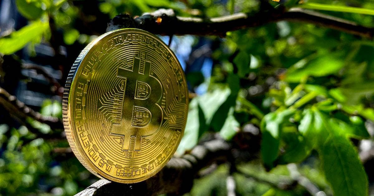 Which Form of Cryptocurrency Is the Most Eco-Friendly?