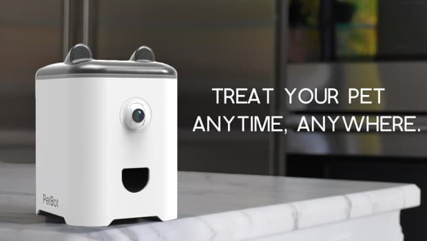 PetBot is a home selfie camera for pets