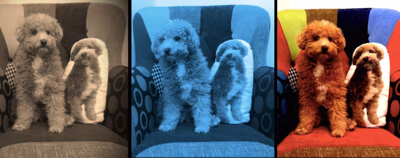 Hang w/ Now Lets You Add Filters to your Live Streams