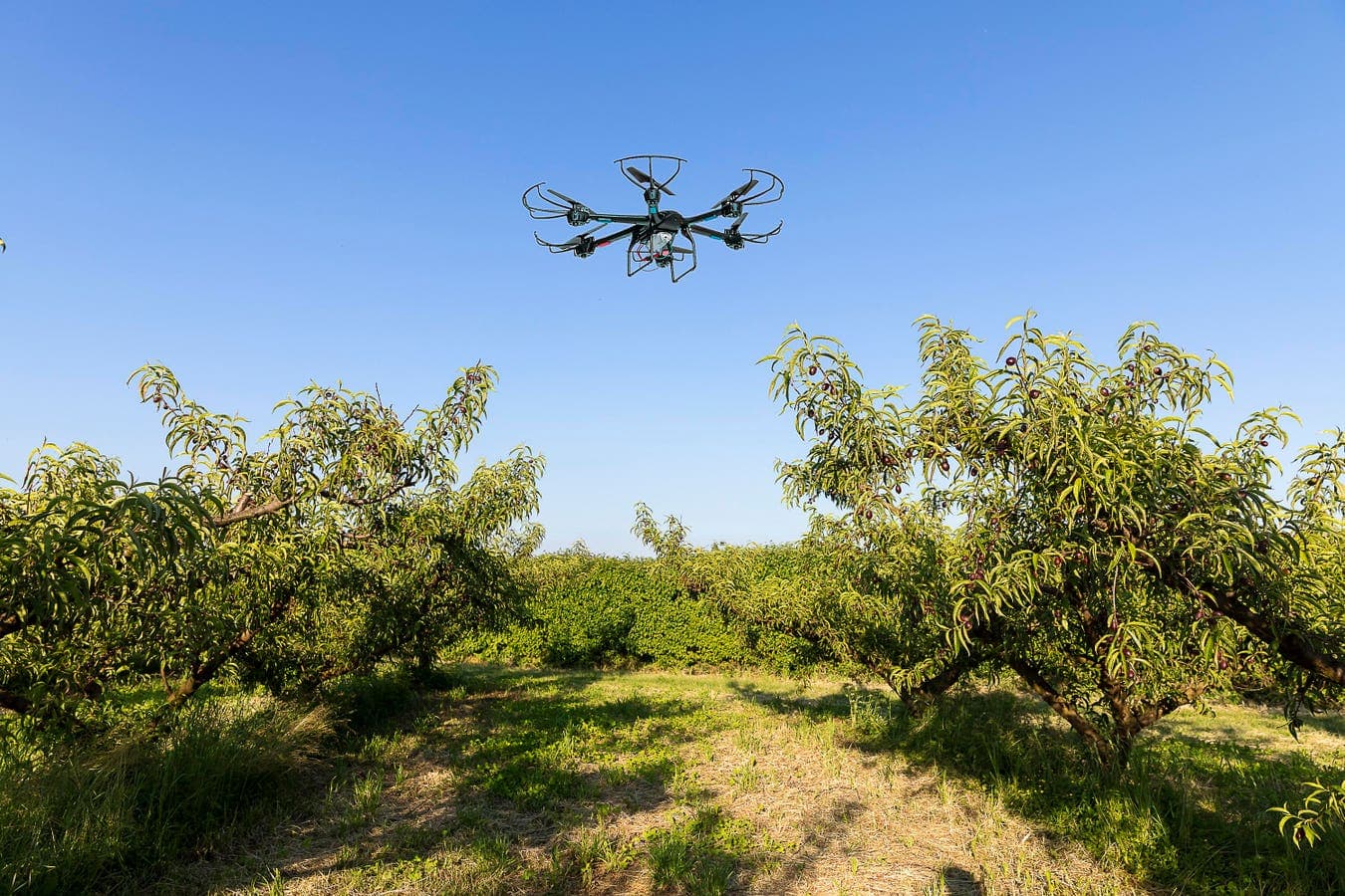 Drones Take Flight for Utilities in Asia Pacific